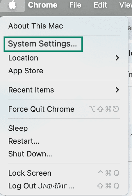 Apple-Menü showing the System Settings option.